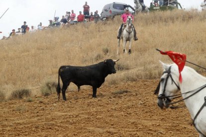 El sur de la provincia vuelve a demostrar su gran afición taurina.