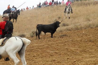 El sur de la provincia vuelve a demostrar su gran afición taurina.