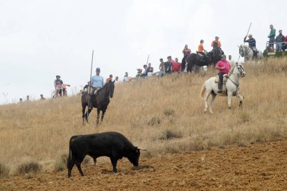 El sur de la provincia vuelve a demostrar su gran afición taurina.