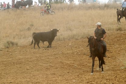 El sur de la provincia vuelve a demostrar su gran afición taurina.