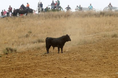 El sur de la provincia vuelve a demostrar su gran afición taurina.