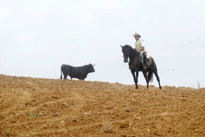 El sur de la provincia vuelve a demostrar su gran afición taurina.