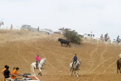 El sur de la provincia vuelve a demostrar su gran afición taurina.