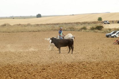 El sur de la provincia vuelve a demostrar su gran afición taurina.