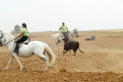 El sur de la provincia vuelve a demostrar su gran afición taurina.