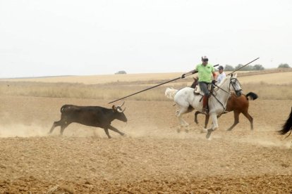 El sur de la provincia vuelve a demostrar su gran afición taurina.