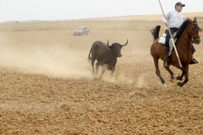 El sur de la provincia vuelve a demostrar su gran afición taurina.