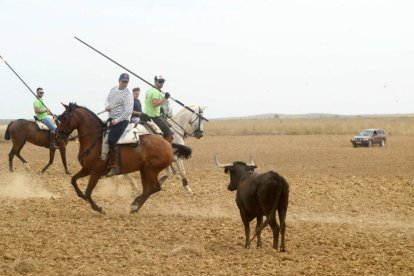 El sur de la provincia vuelve a demostrar su gran afición taurina.