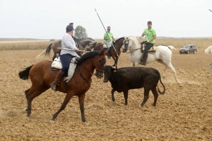 El sur de la provincia vuelve a demostrar su gran afición taurina.