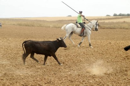 El sur de la provincia vuelve a demostrar su gran afición taurina.