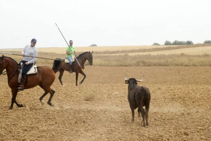 El sur de la provincia vuelve a demostrar su gran afición taurina.