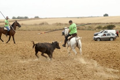 El sur de la provincia vuelve a demostrar su gran afición taurina.