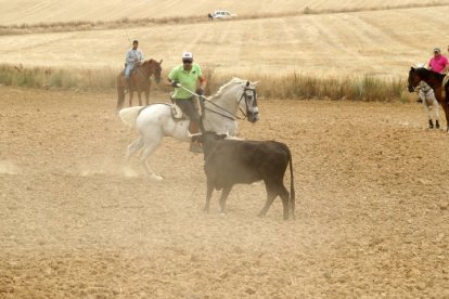 El sur de la provincia vuelve a demostrar su gran afición taurina.