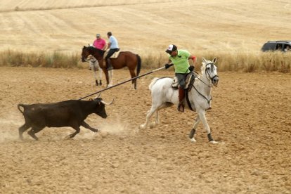 El sur de la provincia vuelve a demostrar su gran afición taurina.