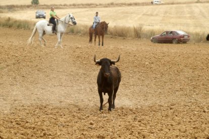 El sur de la provincia vuelve a demostrar su gran afición taurina.