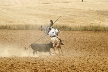 El sur de la provincia vuelve a demostrar su gran afición taurina.