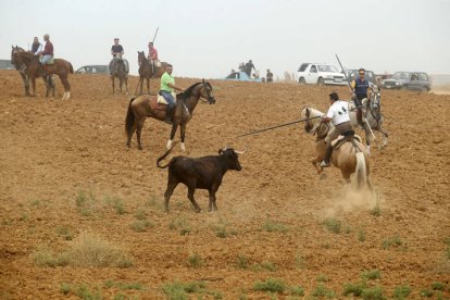 El sur de la provincia vuelve a demostrar su gran afición taurina.