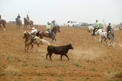 El sur de la provincia vuelve a demostrar su gran afición taurina.