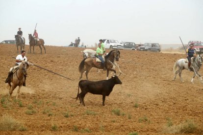 El sur de la provincia vuelve a demostrar su gran afición taurina.