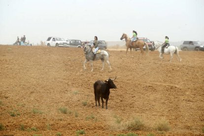 El sur de la provincia vuelve a demostrar su gran afición taurina.