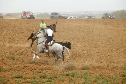 El sur de la provincia vuelve a demostrar su gran afición taurina.