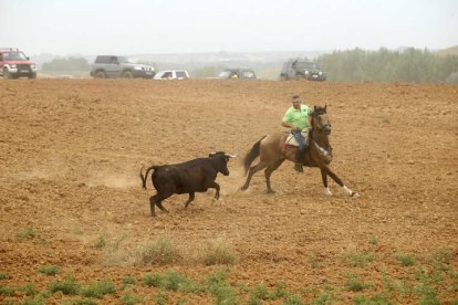 El sur de la provincia vuelve a demostrar su gran afición taurina.