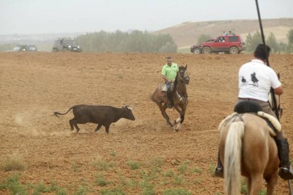 El sur de la provincia vuelve a demostrar su gran afición taurina.