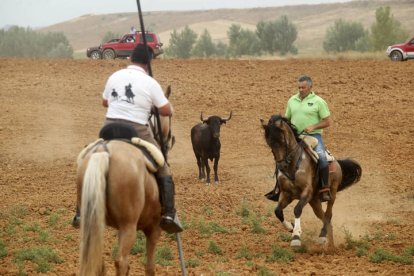 El sur de la provincia vuelve a demostrar su gran afición taurina.