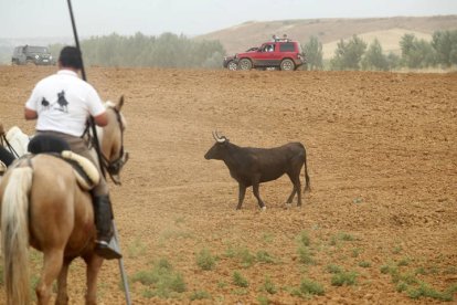 El sur de la provincia vuelve a demostrar su gran afición taurina.