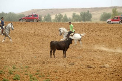 El sur de la provincia vuelve a demostrar su gran afición taurina.