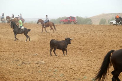 El sur de la provincia vuelve a demostrar su gran afición taurina.