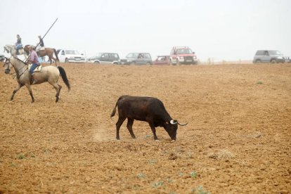 El sur de la provincia vuelve a demostrar su gran afición taurina.