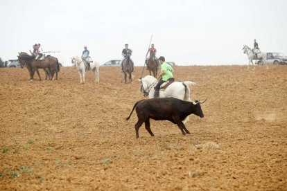 El sur de la provincia vuelve a demostrar su gran afición taurina.