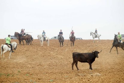 El sur de la provincia vuelve a demostrar su gran afición taurina.