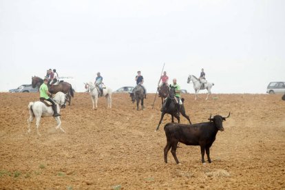 El sur de la provincia vuelve a demostrar su gran afición taurina.