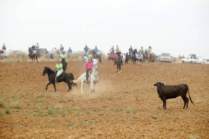 El sur de la provincia vuelve a demostrar su gran afición taurina.