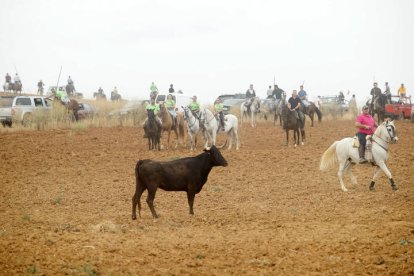 El sur de la provincia vuelve a demostrar su gran afición taurina.