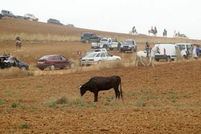 El sur de la provincia vuelve a demostrar su gran afición taurina.