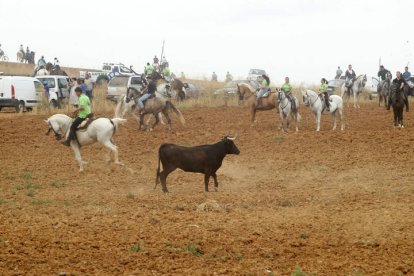 El sur de la provincia vuelve a demostrar su gran afición taurina.