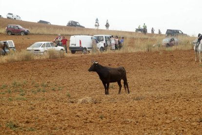 El sur de la provincia vuelve a demostrar su gran afición taurina.