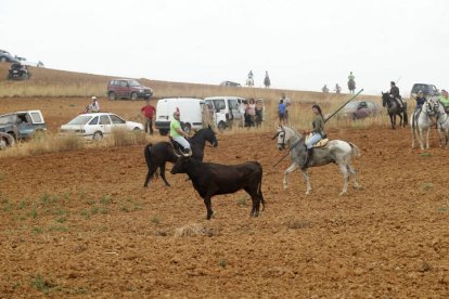 El sur de la provincia vuelve a demostrar su gran afición taurina.