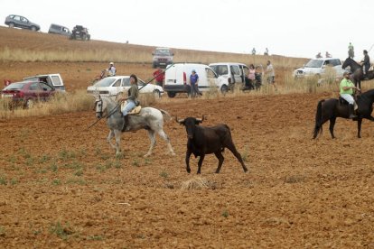 El sur de la provincia vuelve a demostrar su gran afición taurina.