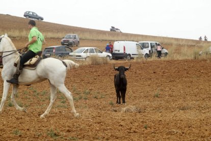 El sur de la provincia vuelve a demostrar su gran afición taurina.