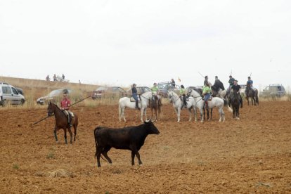 El sur de la provincia vuelve a demostrar su gran afición taurina.