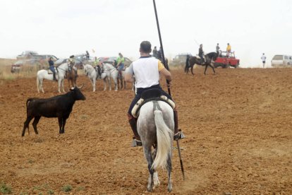 El sur de la provincia vuelve a demostrar su gran afición taurina.