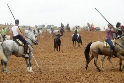 El sur de la provincia vuelve a demostrar su gran afición taurina.