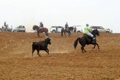 El sur de la provincia vuelve a demostrar su gran afición taurina.