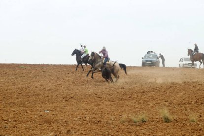 El sur de la provincia vuelve a demostrar su gran afición taurina.