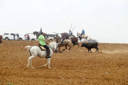 El sur de la provincia vuelve a demostrar su gran afición taurina.