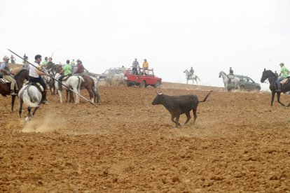 El sur de la provincia vuelve a demostrar su gran afición taurina.